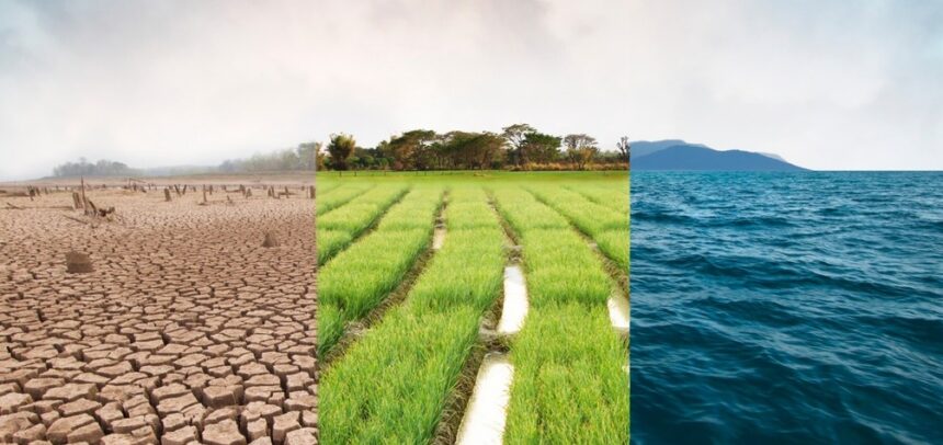 Perú impulsa la restauración de 19 millones de hectáreas para un agro más sostenible