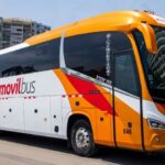 Solo el 16% de peruanos hace voluntariado: barreras logísticas y de recursos frenan su crecimiento