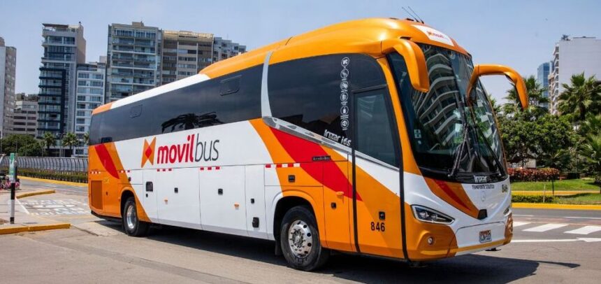 Solo el 16% de peruanos hace voluntariado: barreras logísticas y de recursos frenan su crecimiento