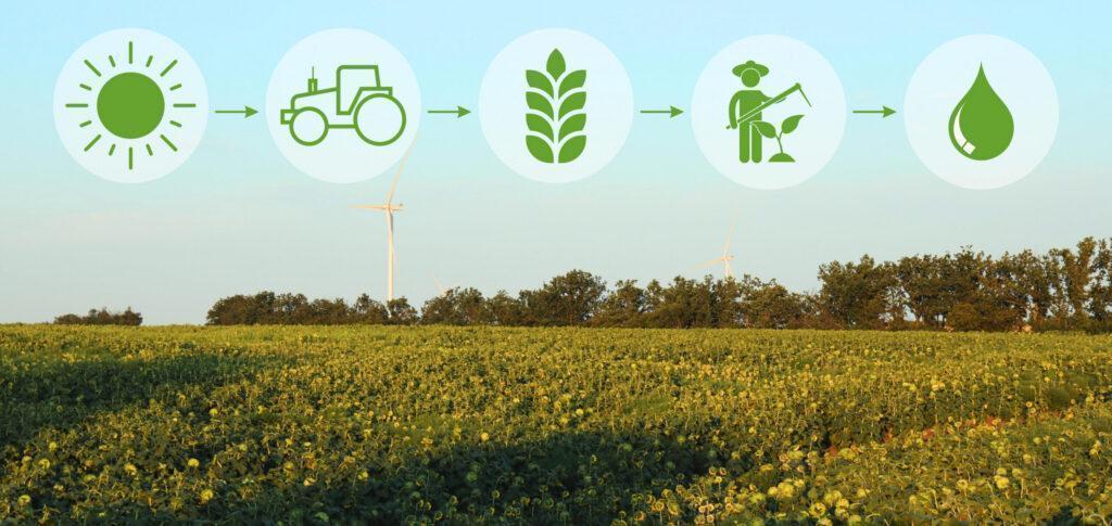 El Pacto Mundial impulsa la Sostenibilidad integrada en el sector agroalimentario - Imagen de Stock (atlascompany en Freepik.es)