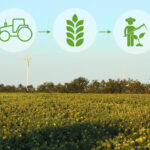 El Pacto Mundial impulsa la Sostenibilidad integrada en el sector agroalimentario - Imagen de Stock (atlascompany en Freepik.es)