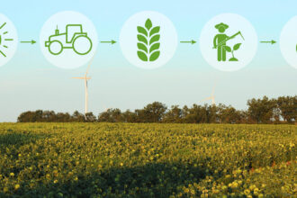 El Pacto Mundial impulsa la Sostenibilidad integrada en el sector agroalimentario - Imagen de Stock (atlascompany en Freepik.es)