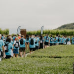 Fuente: González BYASS