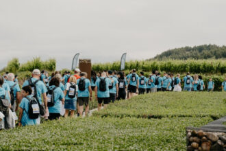 Fuente: González BYASS