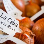 Campaña solidaria “La cebolla que hace reír” (“La ceba que fa riure” en catalán) de Pallapupas y Condis