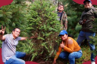 El Congreso de la Ciudad de México reconoce a Reforestalia por su modelo de renta de árboles vivos en maceta