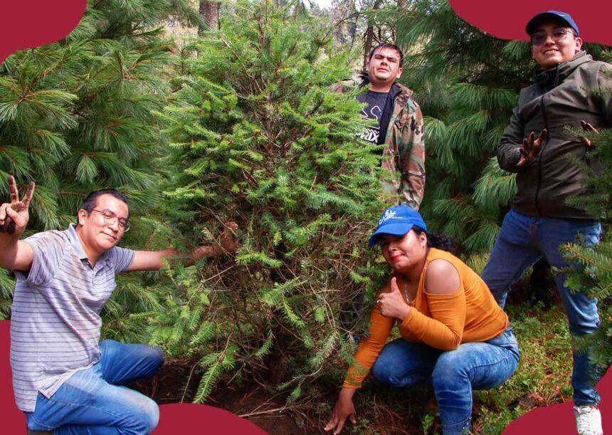 El Congreso de la Ciudad de México reconoce a Reforestalia por su modelo de renta de árboles vivos en maceta
