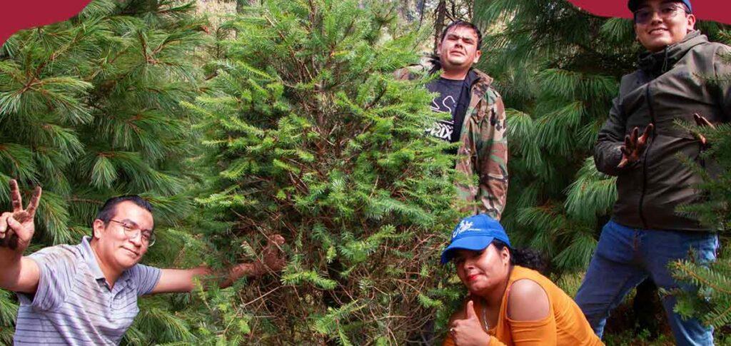 El Congreso de la Ciudad de México reconoce a Reforestalia por su modelo de renta de árboles vivos en maceta