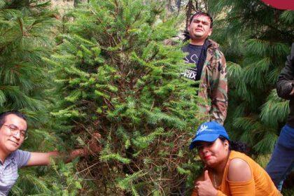 El Congreso de la Ciudad de México reconoce a Reforestalia por su modelo de renta de árboles vivos en maceta