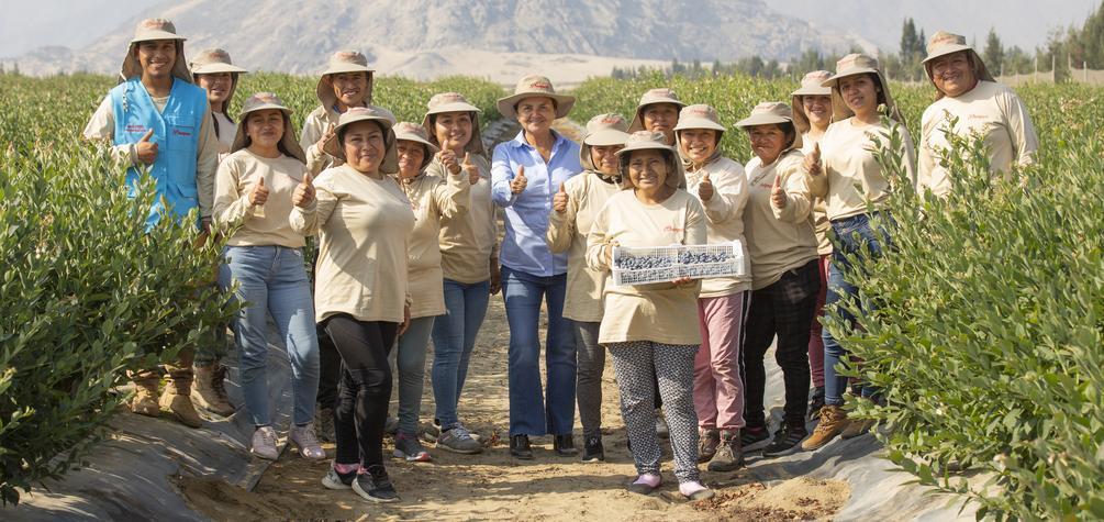 Tecnología contra la anemia: el rol de las empresas en uno de los mayores retos del Perú