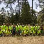 España certifica con FSC más de un millón de hectáreas de bosques con impacto ambiental positivo