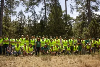 España certifica con FSC más de un millón de hectáreas de bosques con impacto ambiental positivo