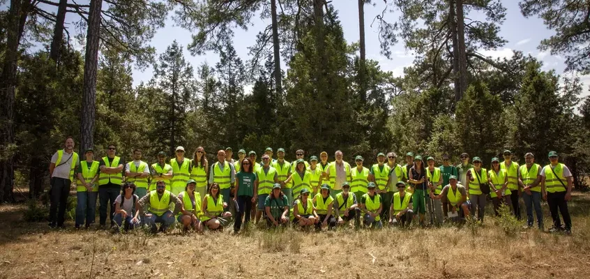 España certifica con FSC más de un millón de hectáreas de bosques con impacto ambiental positivo