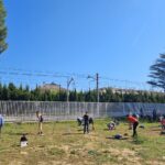 Programa de voluntariado ambiental para la recuperación tras la DANA en Valencia - Imagen de Paiporta cedida por Fundación Naturgy