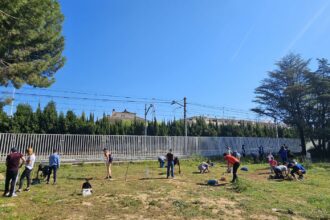 Programa de voluntariado ambiental para la recuperación tras la DANA en Valencia - Imagen de Paiporta cedida por Fundación Naturgy
