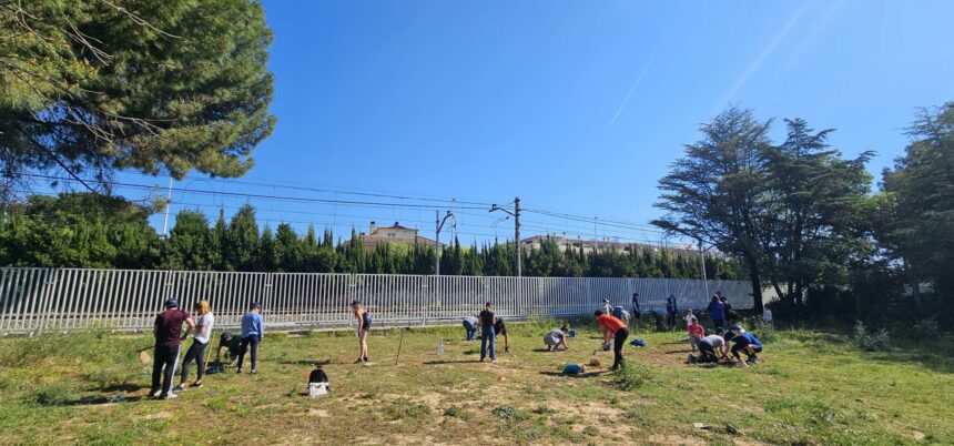 Programa de voluntariado ambiental para la recuperación tras la DANA en Valencia - Imagen de Paiporta cedida por Fundación Naturgy