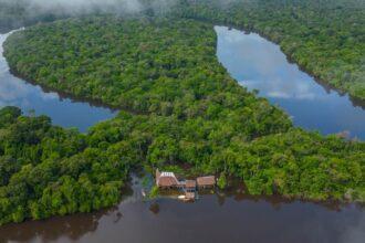 Perú presenta instrumentos para fortalecer protección de bosques y acción climática en la Amazonía