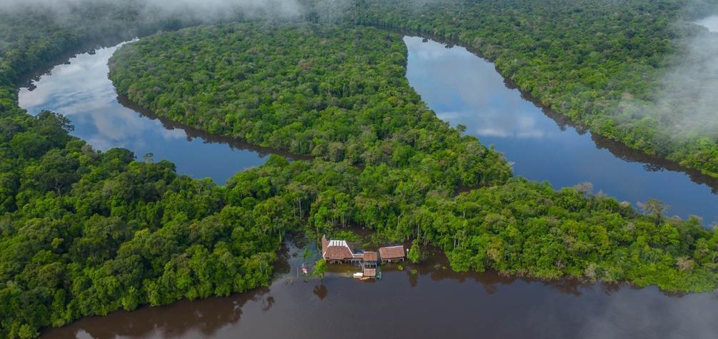 Perú presenta instrumentos para fortalecer protección de bosques y acción climática en la Amazonía