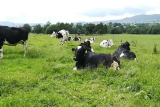 Proyecto Ecosistemas Lecheros impulsa la biodiversidad en 30 granjas de Nestlé en Cantabria
