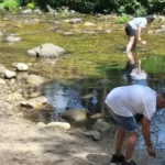Autopistas moviliza a 40 voluntarios para conservar ecosistemas fluviales en Segovia