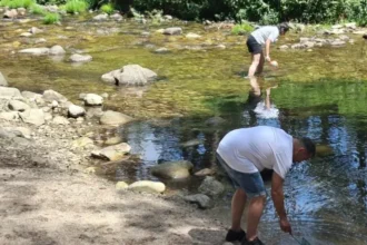 Autopistas moviliza a 40 voluntarios para conservar ecosistemas fluviales en Segovia