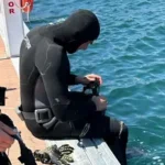 Coca-Cola impulsa la regeneración de 50 m² marinos en puertos deportivos con Mares Circulares