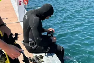 Coca-Cola impulsa la regeneración de 50 m² marinos en puertos deportivos con Mares Circulares