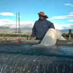 PepsiCo México reduce 30% el uso de agua en agricultura y 70% en plantas industriales