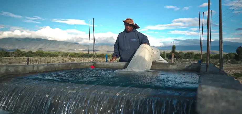 PepsiCo México reduce 30% el uso de agua en agricultura y 70% en plantas industriales