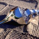 El Caracol de Plata, galardón que será otorgado por Cemefi el 3 de septiembre
