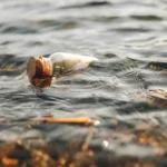 Arup impulsa gestión predictiva de ríos para mejorar la calidad del agua contaminada
