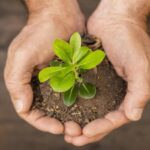 Otras noticias relevantes de la semana en materia de sostenibilidad