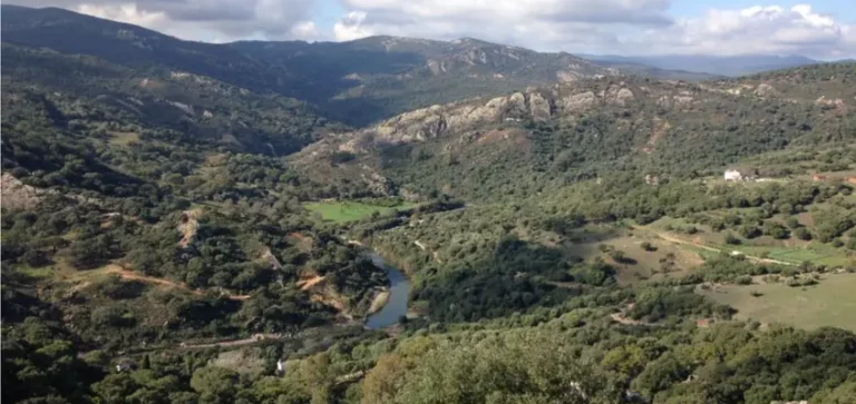 Los Alcornocales consolidan innovaciones para la adaptación climática y la conservación en 168.000 hectáreas