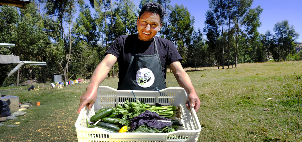 Proyecto de WHH en Áncash impulsa a más de 200 productores a mejorar sus cosechas con prácticas agroecológicas
