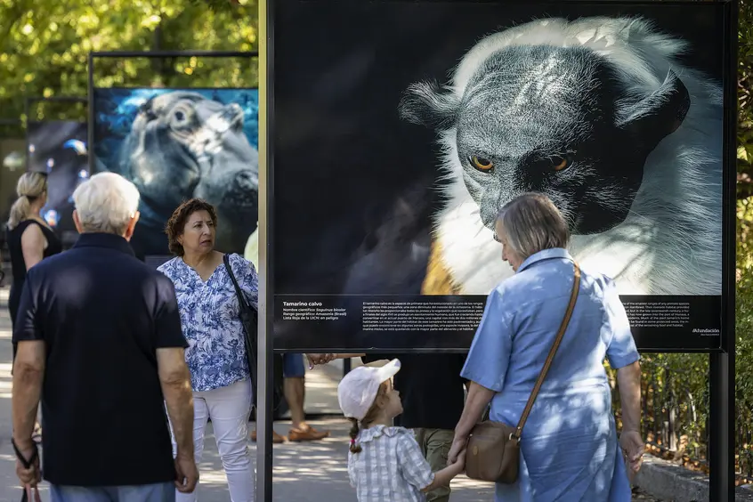 Afundación sensibiliza sobre biodiversidad con 34 retratos de especies amenazadas en Madrid