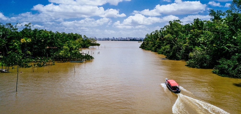 Amazonía