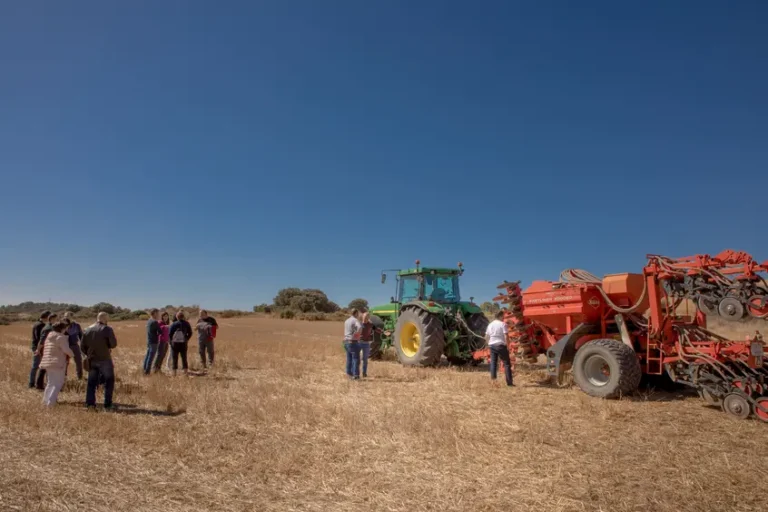 HEINEKEN reduce un 42% las emisiones agrícolas en cebada con prácticas regenerativas en España
