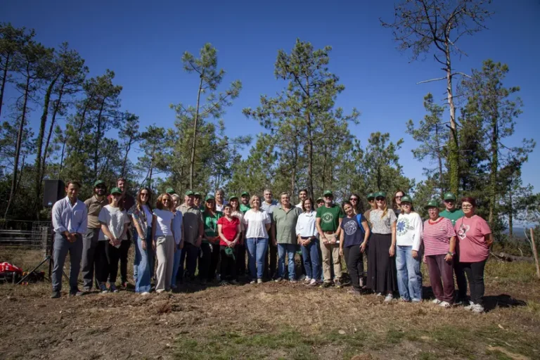 Carrefour y FSC avanzan en la gestión forestal preventiva en 540 hectáreas de tres comunidades