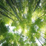 Otras noticias relevantes de la semana en materia medioambiental