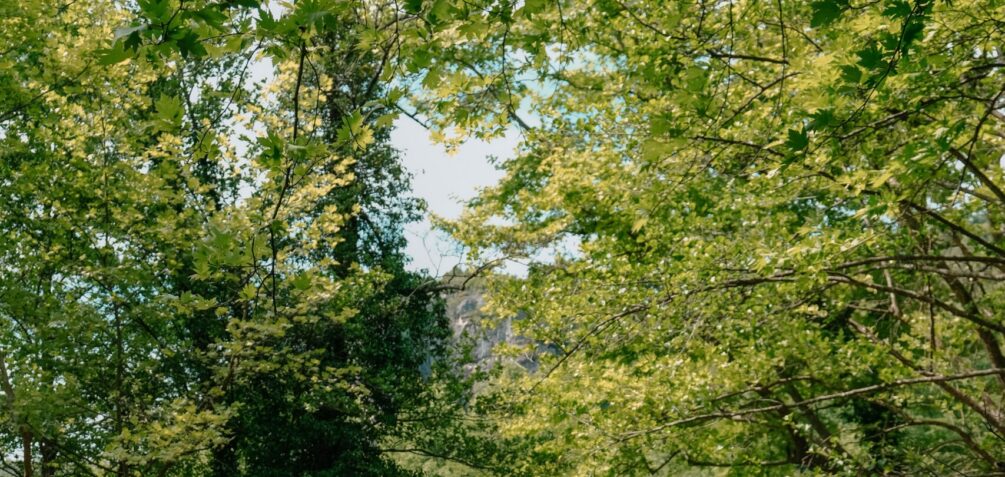 Otras noticias relevantes de la semana en materia medioambiental