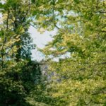 Otras noticias relevantes de la semana en materia medioambiental