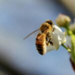 Otras noticias relevantes de la semana en materia medioambiental