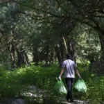 Proyecto LIBERA moviliza a 13.739 voluntarios para retirar 148,6 toneladas de residuos en espacios naturales