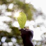 medio ambiente